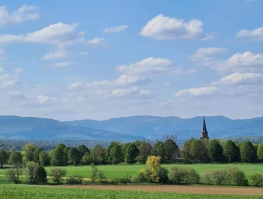 Le Grenier Lägenhet Dannemarie  Exteriör bild