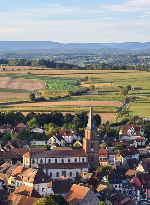 Le Grenier Lägenhet Dannemarie  Exteriör bild